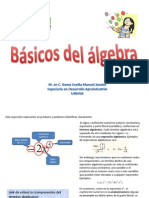Basicos Del Algebra. UNIVIM