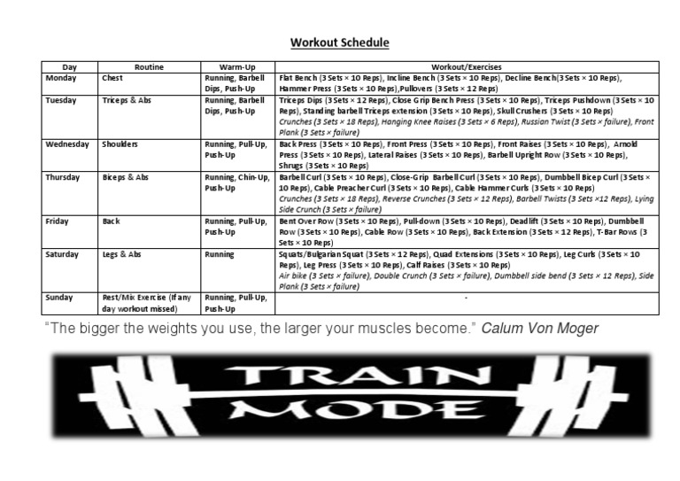 Weekly Workout Schedule for Muscle Gain | PDF