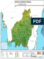 2009-03-17 Basemap Kalimantan Tengah Province BNPB