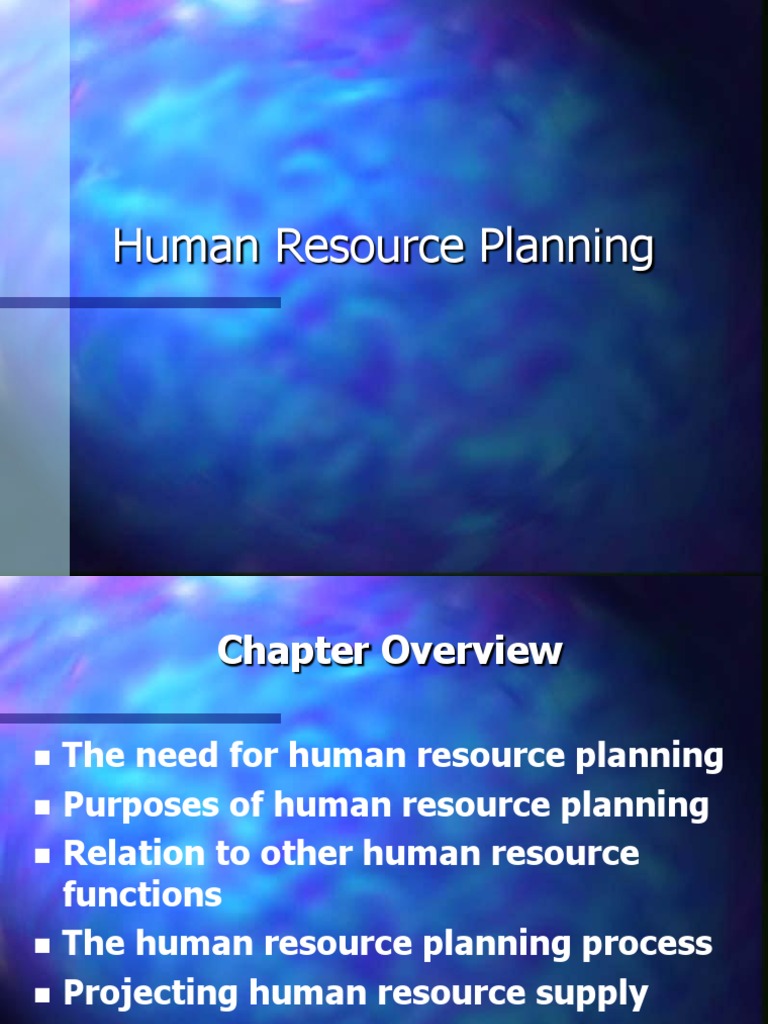 Human Resource Planning PDF Human Resources Employment