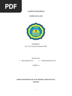 Download enzim katalase by Yuliana Purnamasari SN216280591 doc pdf