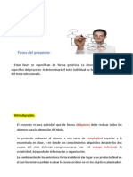 02 Fases Del ProyectoPres