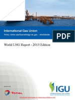 World LNG Report 2013