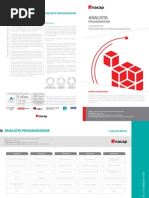 Analista Programador