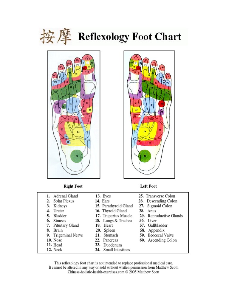 Foot Chart