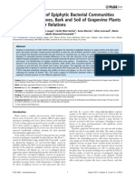 Characterization of Epiphytic Bacterial Communities From Grapes, Leaves, Bark and Soil of Grapevine Plants Grown, and Their Relations