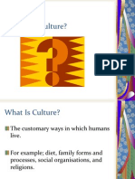 What Is Culture? And The Role Of Socialisation