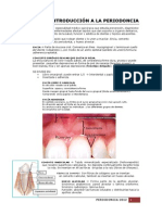 4o Clase Introduccion A La Periodoncia