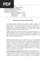 Bioabonos y contaminación en el suelo