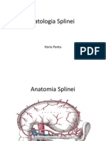 Patologia Splinei 