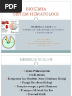 Download BIOKIMIA Sistem Hematologi 2010 by L M Akhiruddin SN216356361 doc pdf