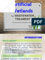 Artificial Wetlands: Wastewater Treament