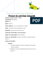 Proiect de Activitate Integrată