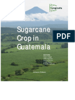 Book Sugarcane Crop in Guatemala