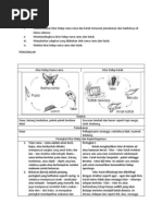 Amali 2 - Memerhati Kitar Hidup Haiwan