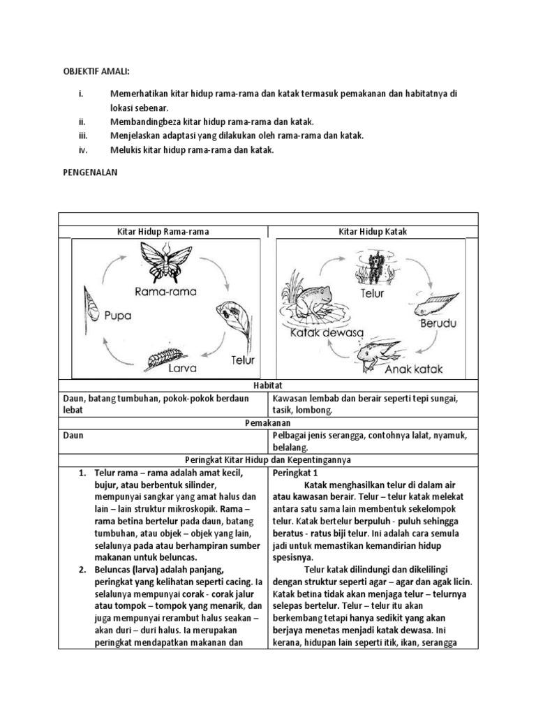 Amali 2 Memerhati Kitar Hidup Haiwan Pdf