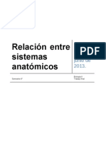 Relación entre sistemas anatómicos