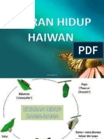 kitaranhaiwan-121105010033-phpapp02