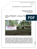 Análisis de Los Agrocombustibles en El Departamento Del Meta