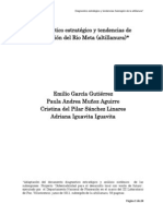 Diagnostico Estratégico y Tendencias Subregión de La Altillanura