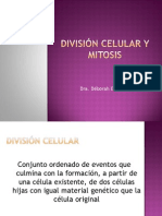División Celular y Mitosis