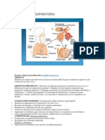 El Sistema Respiratorio