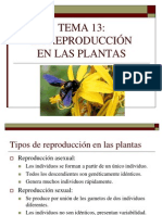13_reproduccion_plantas