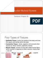 The Muscular-Skeletal System: Textbook Chapter 35