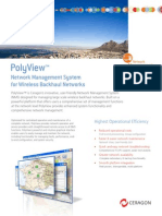 Ceragon PolyView NMS Brochure