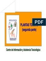 Plantas Toxicas2