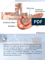 Hormonas Pancreaticas1111123
