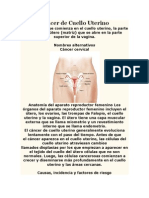 Cáncer de Cuello Uterino