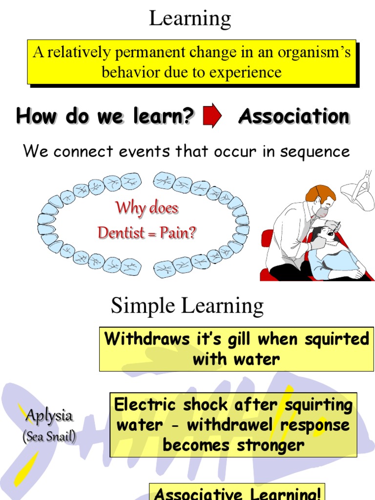 Learning | PDF