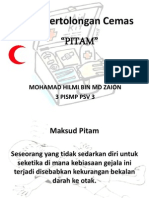 PITAM