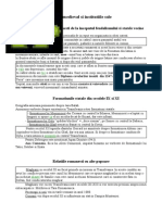 New OpenDocument Text