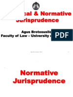 Normative & Analytical - Jurisprudence