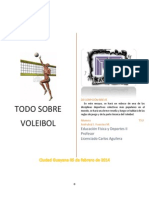 Todo sobre voleibol