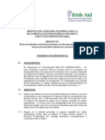 Puesto de Trabajo: Términos de Referencia para Auditoría