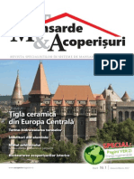 Articol Revista Mansarde Si Acoperisuri