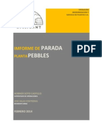 Informe de Parada de Pebbles