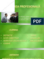 MOTIVAREA PROFESIONALA 97+03 Powerpoint 97 Si 03