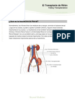 Kidney Ws Spanish