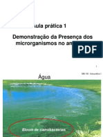 Aula 1 Presencademicrorganismos