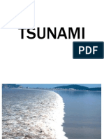 tsunamipps1505.ppt