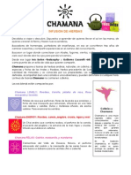 CHAMANA - Infusión Andina PDF