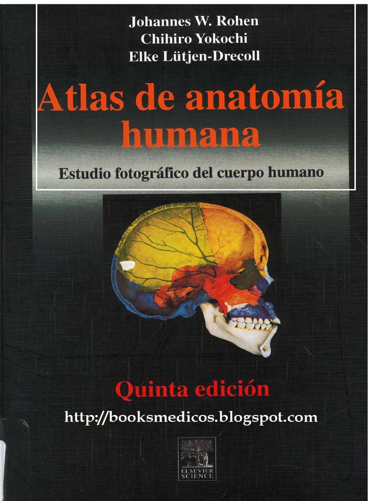 Yokochi Anatomia Completo | PDF