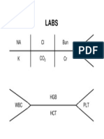 Lab Graphs