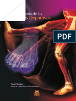 Anatomia Lesiones Deportivas