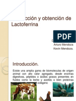 Lactoferrin A