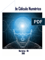 Apostila de Cálculo Numérico Pronta